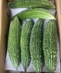 宮崎県産ゴーヤB品3kg