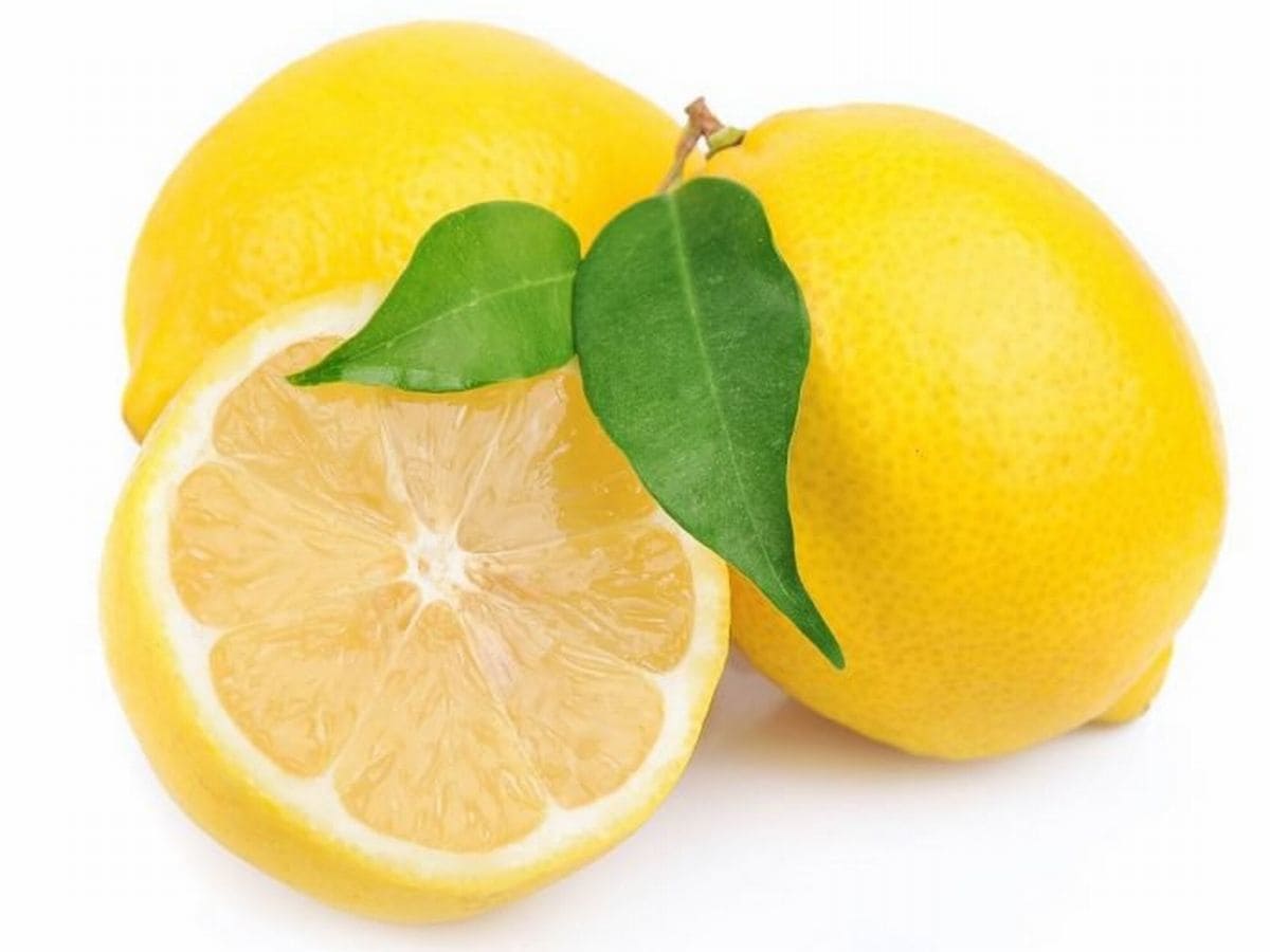 レモン - 果物