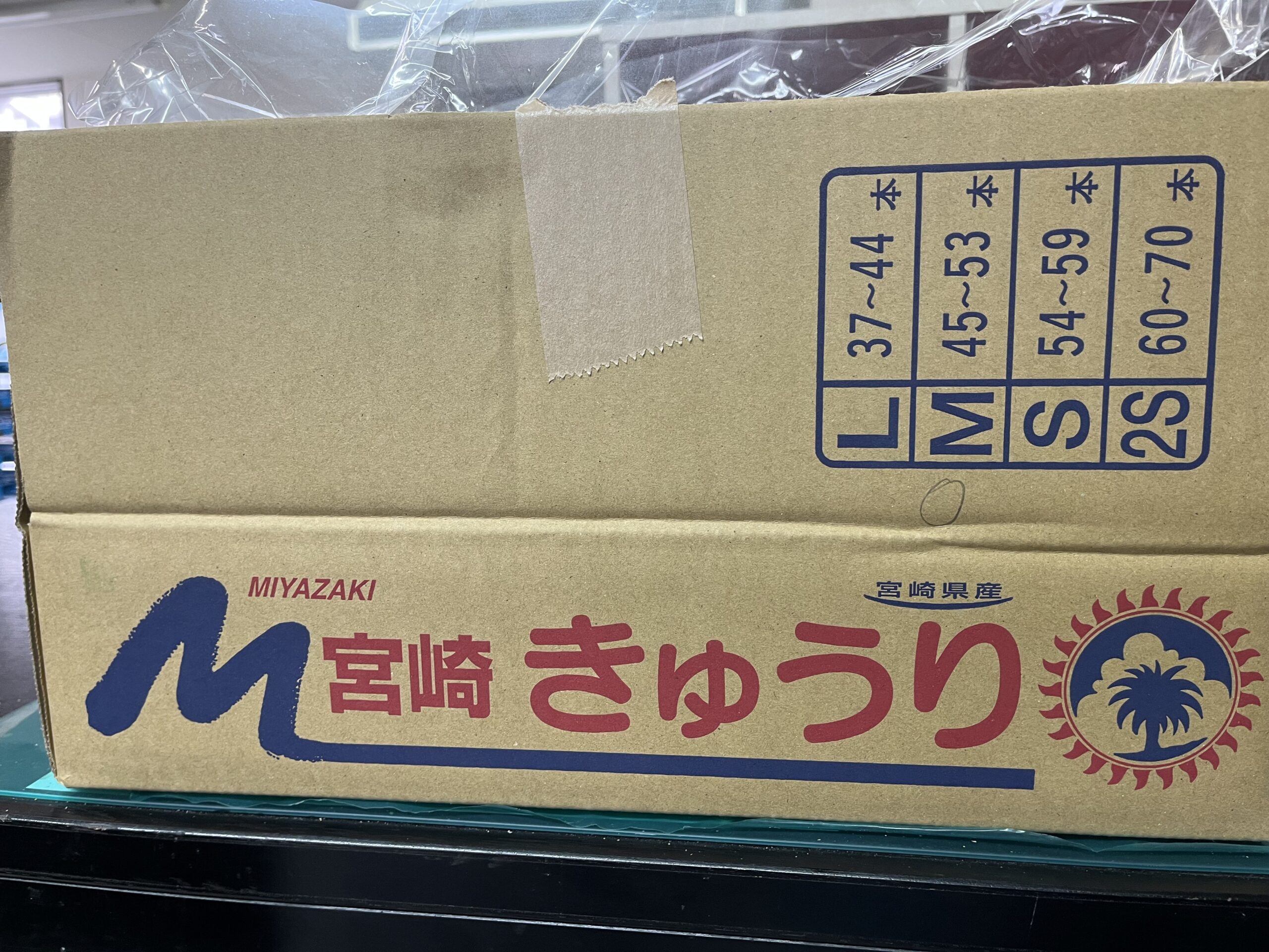 宮崎県産　ブルームレス きゅうり A品 5kg箱（50本前後）