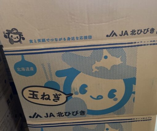 北海道産　玉葱　20㎏　1箱