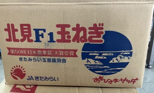 北海道産　玉葱　20㎏　1箱