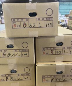 九州産　茄子　B品　約30本入り(1箱)　