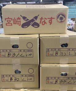 九州産　茄子　B品　約30本入り(1箱)　