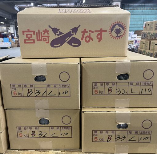 九州産　茄子　B品　約30本入り(1箱)　