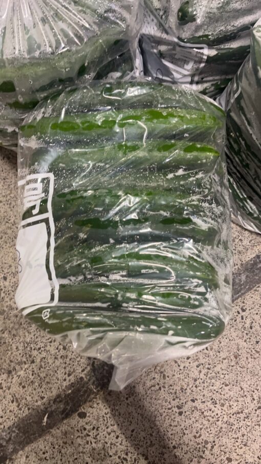 宮崎県産　きゅうり C品 10kg箱（100本前後） - 画像 (2)