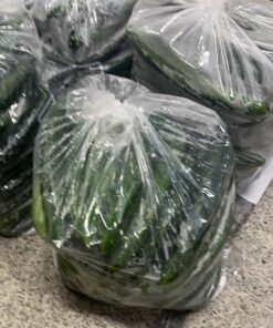 宮崎県産　きゅうり C品 10kg箱（100本前後）