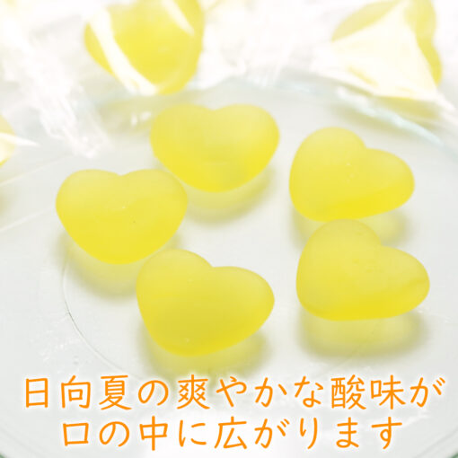 宮崎日向夏グミ - 画像 (3)